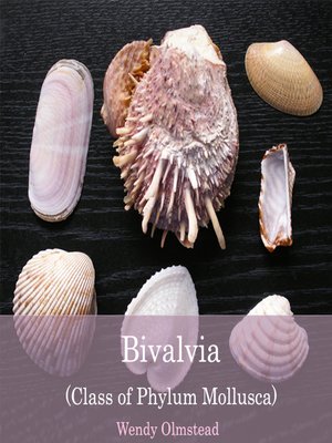 cover image of Bivalvia